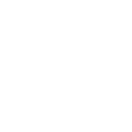 Praktische Erkenntnisse Icon